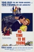 Movies No Time to Be Young poster