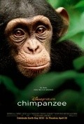 Movies Chimpanzee poster