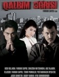 Movies Qalbim O'g'risi poster
