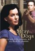 Movies Stray Dogs poster