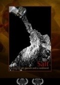 Movies Salt poster