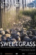 Movies Sweetgrass poster