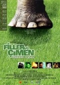 Movies Filler ve Cimen poster