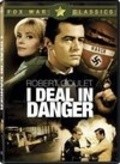 Movies I Deal in Danger poster