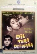 Movies Dil Tera Diwana poster