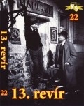 Movies 13. revir poster