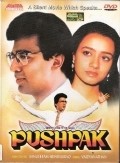 Movies Pushpak poster