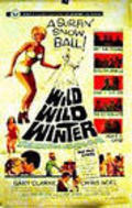 Movies Wild Wild Winter poster