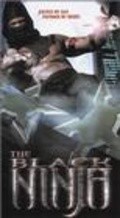 Movies The Black Ninja poster