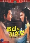 Movies Yang guo yu xiao long nu poster