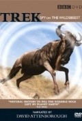 Movies Trek: Spy on the Wildebeest poster