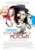Movies Standing in the Shadows of Motown poster