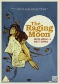 Movies The Raging Moon poster
