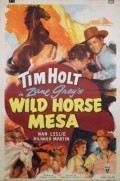 Movies Wild Horse Mesa poster