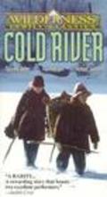 Movies Cold River poster