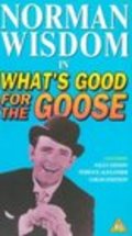 Movies What's Good for the Goose poster
