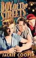 Movies Boy of the Streets poster