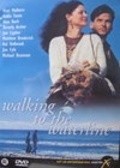Movies Walking to the Waterline poster