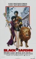 Movies Black Samson poster