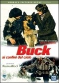 Movies Buck ai confini del cielo poster