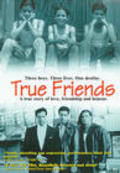 Movies True Friends poster