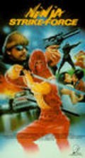 Movies Ninja Strike Force poster