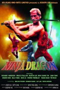 Movies Ninja Dragon poster