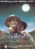Movies One Night the Moon poster