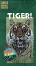 Movies Tiger! poster