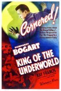 Movies King of the Underworld poster