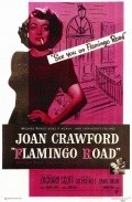 Movies Flamingo Road poster