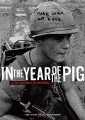 Movies In the Year of the Pig poster