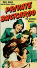 Movies Private Buckaroo poster