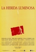 Movies La herida luminosa poster