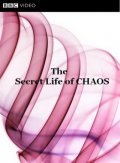Movies The Secret Life of Chaos poster