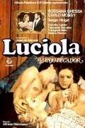 Movies Luciola, o Anjo Pecador poster