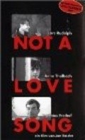 Movies Not a Love Song poster