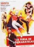 Movies La furia de los karatecas poster