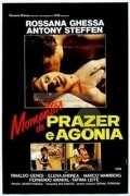 Movies Momentos de Prazer e Agonia poster