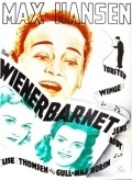 Movies Wienerbarnet poster