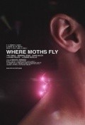 Movies Where Moths Fly poster