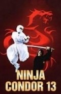 Movies Ninjas, Condors 13 poster
