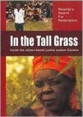 Movies In the Tall Grass poster