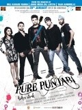 Movies Pure Punjabi poster