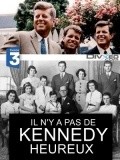 Movies Il n'y a pas de Kennedy heureux poster