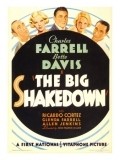 Movies The Big Shakedown poster