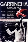 Movies Garrincha - Alegria do Povo poster