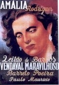 Movies Vendaval Maravilhoso poster