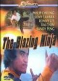 Movies The Blazing Ninja poster