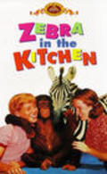 Movies Zebra in the Kitchen poster